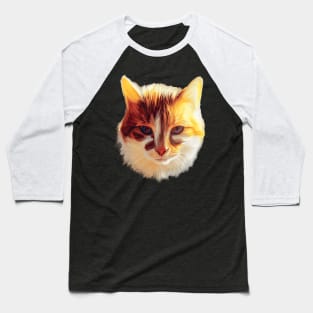 I Am a Ray of Sunshine Cat Baseball T-Shirt